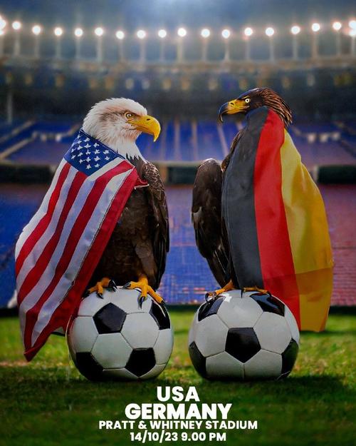 美国vs德国对比图片